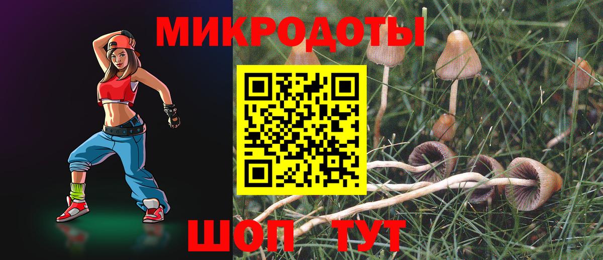 Псилоцибиновые грибы Cubensis  Вход с VPN  Кропоткин 