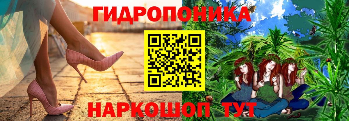 Конопля AK-47  Марихуана семена  Вход с VPN  Кропоткин  Канабис гибрид 